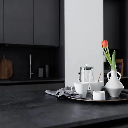 公寓 Spacious 2br On Bulevardi 赫尔辛基
